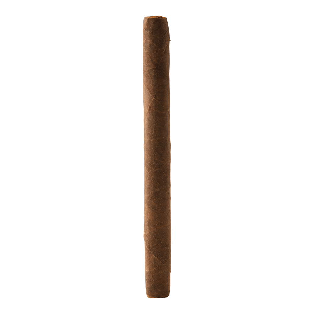 Daiquiri Maduro Cigarillos, , cigars